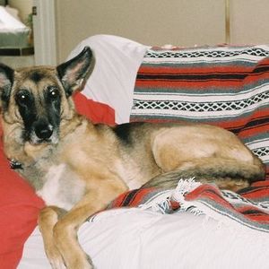 Meet your Posher, Beth